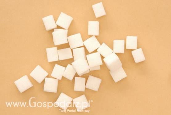 Seminarium Eksperckie „Rynek cukru w ramach 50 lat WPR – jakie wnioski na przyszłość?”