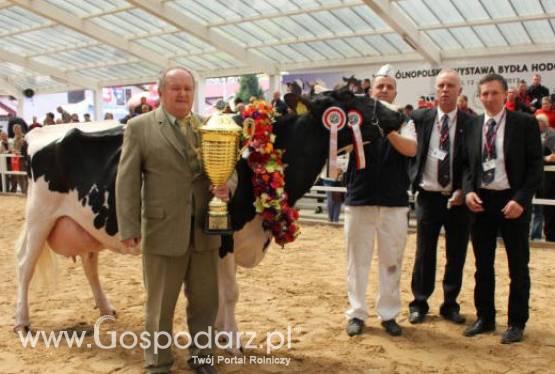 Lista laureatów VII Ogólnopolskiej Wystawy Bydła Hodowlanego „Sielinko 2012”