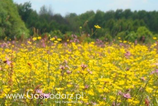 Ekspertyzy rolonośrodowiskowe