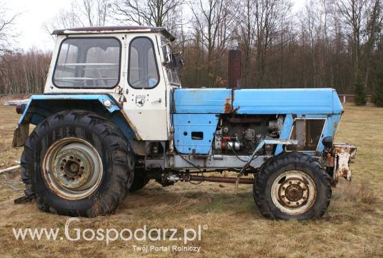 Traktor Fortschritt ZT 303 zarejestrowany