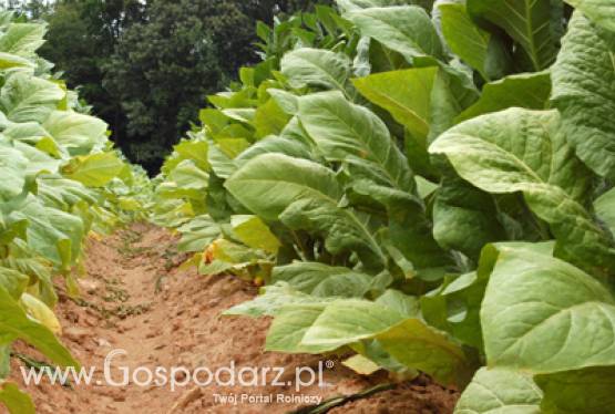 4 lata współpracy z organizacjami rolniczymi