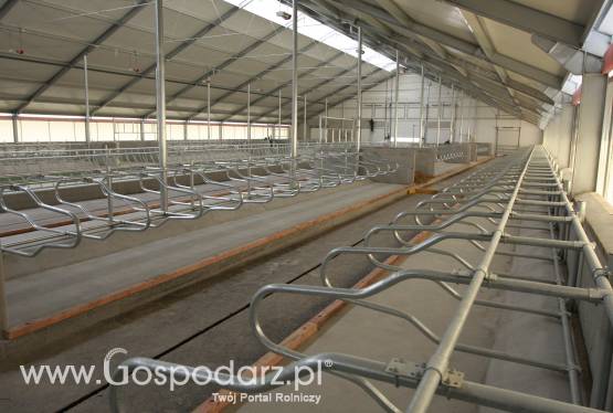 Przegrody legowiskowe