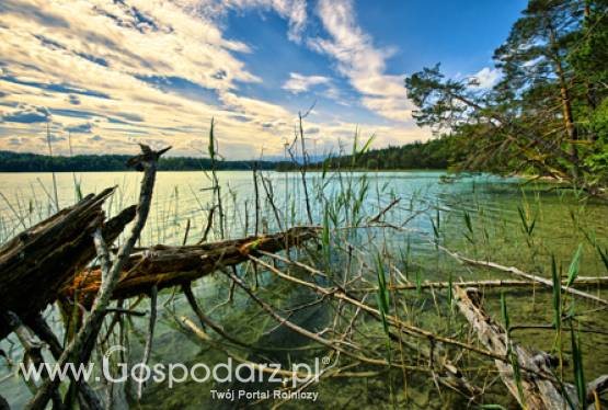 Zmiany dotyczące sposobu stosowania nawozów