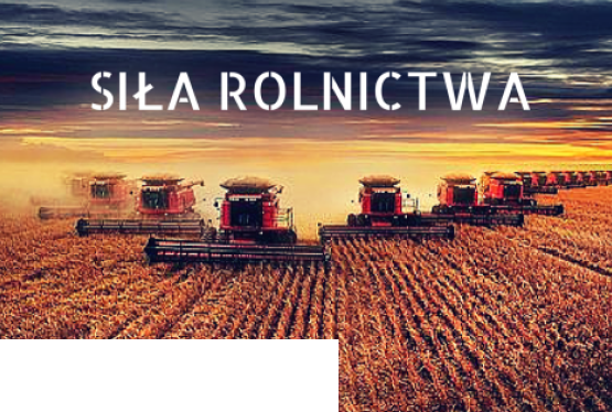 KREDYTY POŻYCZKI RESTRUKTURYZACJE UPADŁOŚCI