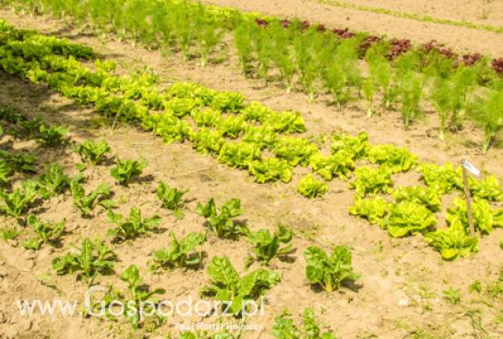 Spotkanie z ambasadorem Zjednoczonych Emiratów Arabskich