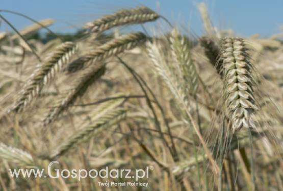 W CDR Radom zakończyły się Dni z Rolnictwem Ekologicznym