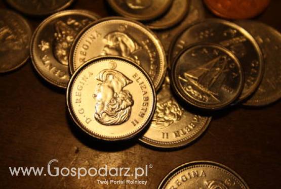 Lokalne Grupy Działania przyjmują wnioski o wsparcie inwestycji z PROW 2007-13