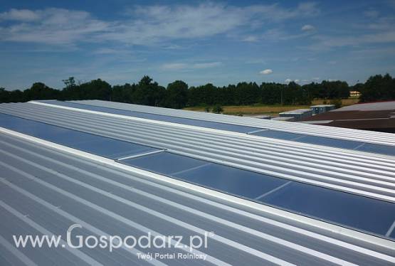 ŚWIETLIKI   PŁASKIE