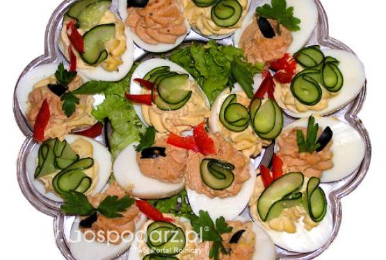 Nowi członkowie Komisji Kodeksu Żywnościowego FAO/WHO