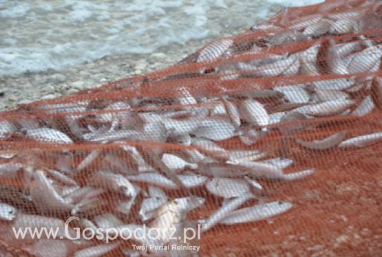 Od dziś ARiMR wznawia przyjmowanie wniosków o przyznanie pomocy na dostosowanie floty rybackiej