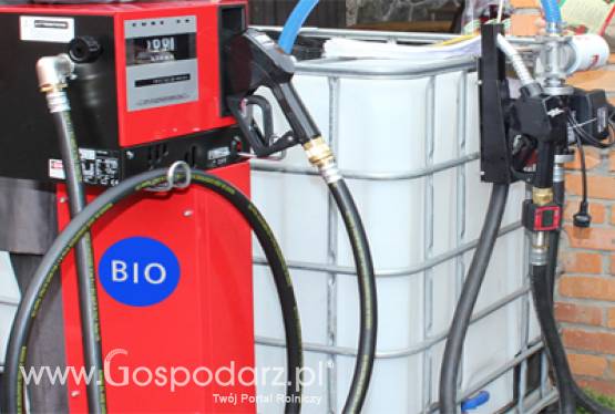 Namibia blokuje powstanie Władze Namibii zablokowały powstanie kolejnych wielkopowierzchniowych plantacji jatrofy