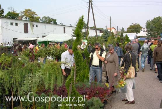 Targi Ogrodnicze Jesień 2013 w Strzelinie