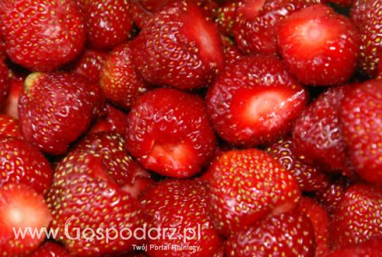 Truskawki dalej są drogie