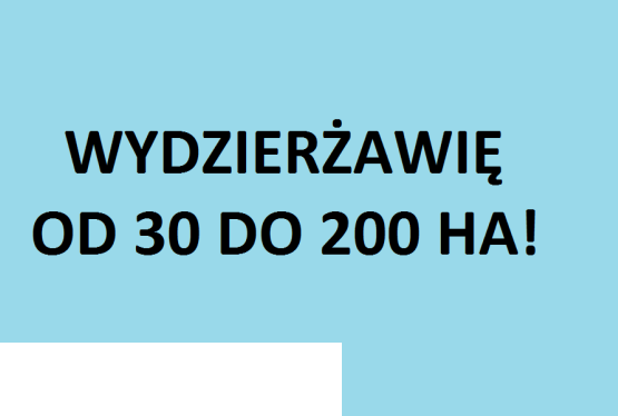 Wydzierżawię grunt rolny 30-200 ha