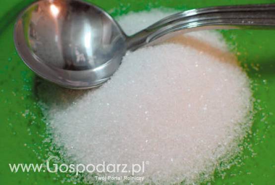 Ceny cukru na świecie są najwyższe od ponad trzydziestu lat