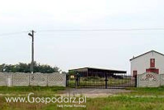 Chlewnia 500m2