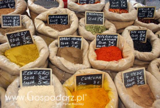 Nowa Zelandia – Spadek handlu