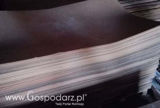 Sprzedam Płyta pilśniowa 3,2mm 190x120cm, 180x90cm, 400 sztuk