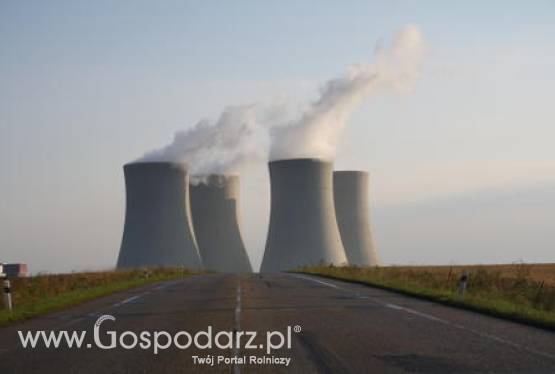 Nowa Zelandia - Uwaga na napromieniowane ptaki!