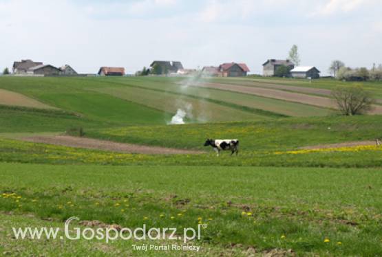 Propozycje legislacyjne WPR2020