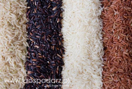 Kolejne chińskie nazwy zarejestrowane w UE