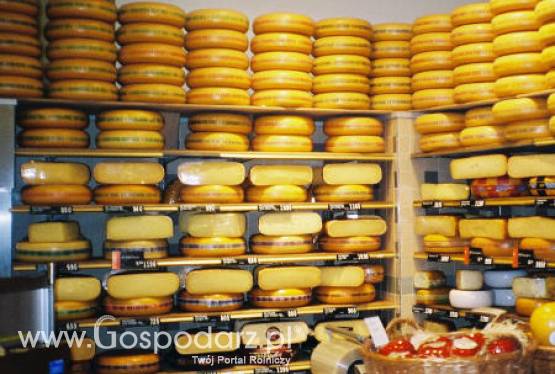 Spadek cen przetworów mleczarskich?