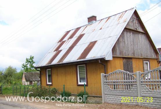 Siedlisko na pograniczu Mazur i Podlasia OKAZJA!