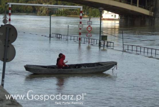 W lutym rozpocznie się kolejny nabór wniosków o wsparcie na odbudowę gospodarstw zniszczonych przez powodzie