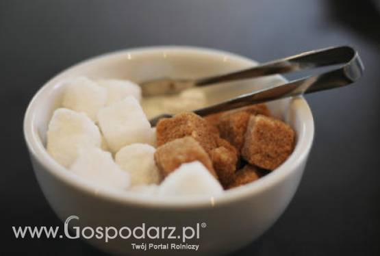 Brazylia – Niezwykle słabe polny trzciny cukrowej