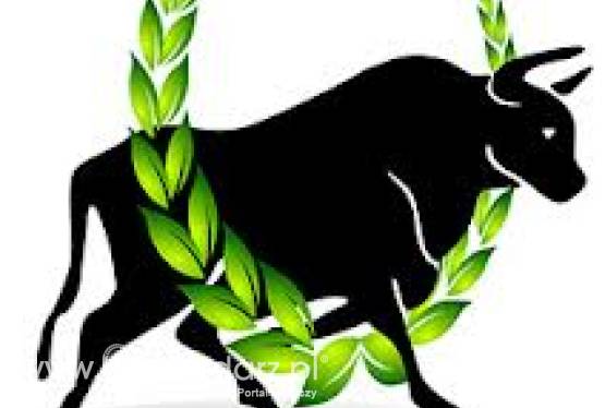 INSEMEX - Nasienie Buhajów