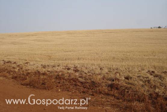 Ranking 300 po raz XVI