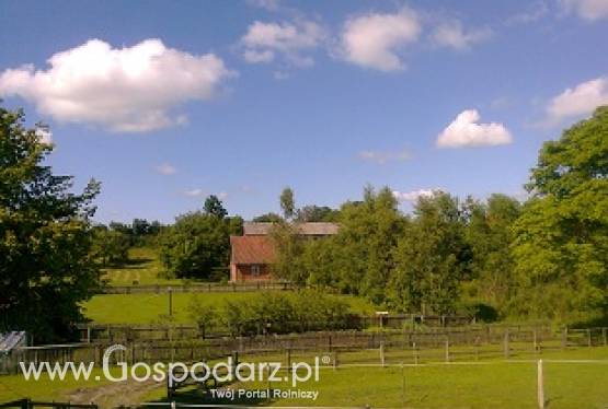 Sprzedam tanio gospodarstwo na mazurach