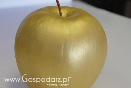 Złote jabłka rozdane!