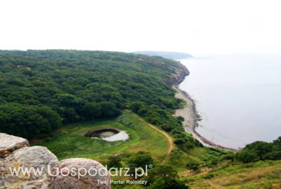 Lignofuels 2011 – Optymalizacja produkcji paliw z surowców celulozowych