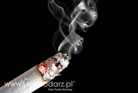 Jakie będą straty spowodowane wymianą opakowań papierosów?