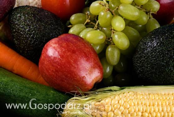 Spadek eksportu polskich owoców i przetworów owocowo-warzywnych