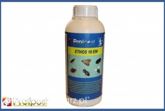 Ethos10 EW