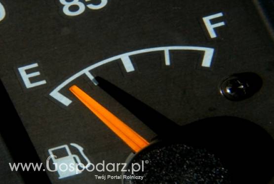 Ropa naftowa tanieje, ale na jak długo?