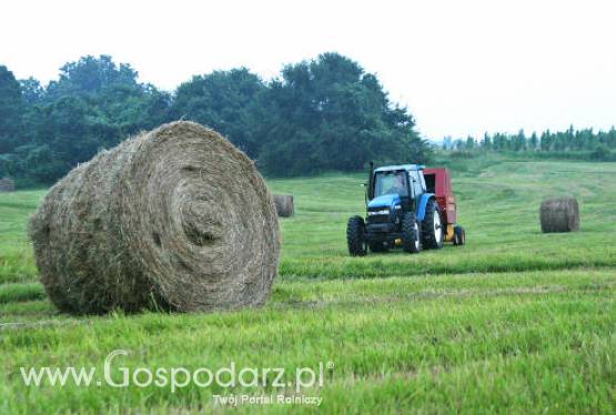 Trwa nabór wniosków o przyznanie pomocy na Modernizację gospodarstw rolnych