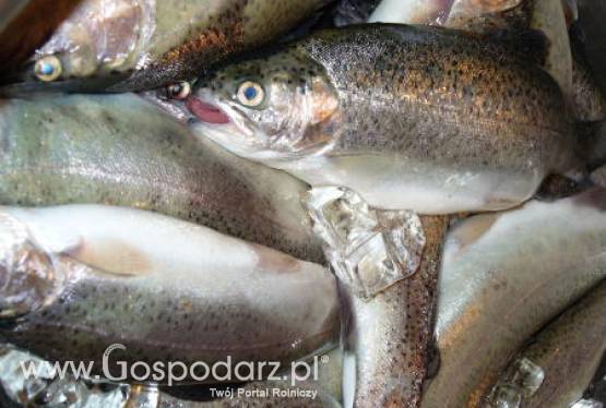 1,5 miliarda złotych zostało zakontraktowane przez ARiMR w ramach PO RYBY 2007 -2013