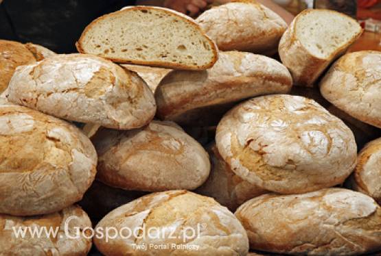 Wojewódzko-Archidiecezjalne Dożynki Wielkopolskie