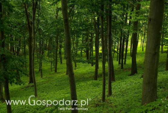 Od 15 marca br. można składać w ARiMR wnioski o przyznanie płatności bezpośrednich, ONW i rolnośrodowiskowych za 2011 r.