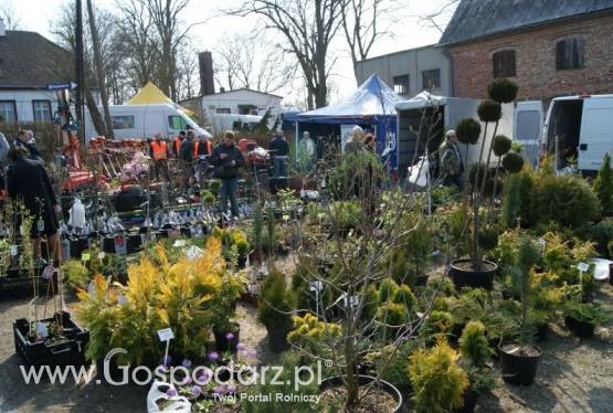 Targi Ogrodnicze Wiosna 2013 w Strzelinie