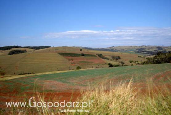 Państwowe ziemie rolne cieszą się ogromnym zainteresowaniem
