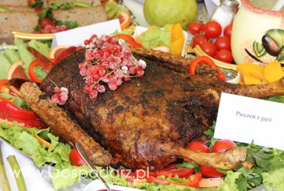 VIII Święto Gęsi w Biskupcu