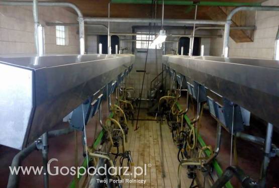 Hala udojowa 2X6 rybia os Westfalia GEA DeLaval Alfa Laval