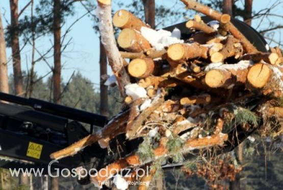 Chwytak do kłód KRAB