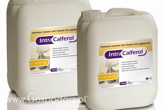 INTRA CALFEROL 5L - preparat dla drobiu: kości / skorupy jaj