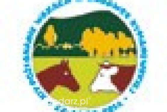 XIV Pożegnanie Wakacji w Rudawce Rymanowskiej