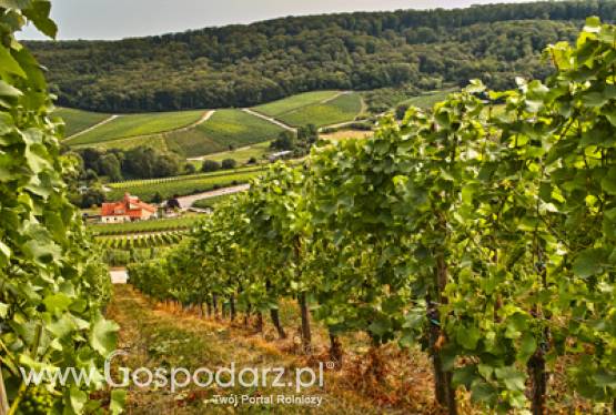 Konferencja Partnerstwa Wschodniego